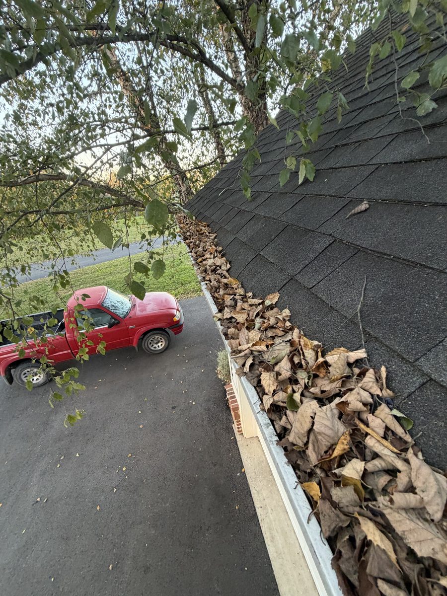 Gutter packed with dead leaves before cleaning